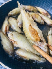 Cá Trứng