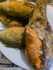 Cá Trứng