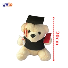 Gấu bông quà tặng tốt nghiệp . quà tặng tốt nghiệp gấu bông teddy. graduation gấu quà tặng st1