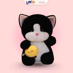 GẤU BÔNG MÈO ÔM BÁNH MÌ & MÈO ÔM CÁ – SIÊU CUTE