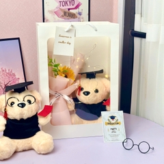 Gấu bông quà tặng tốt nghiệp . quà tặng tốt nghiệp gấu bông teddy. graduation gấu quà tặng st1
