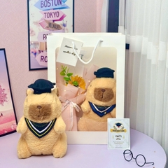 Gấu bông quà tặng tốt nghiệp . quà tặng tốt nghiệp gấu bông teddy. graduation gấu quà tặng st1