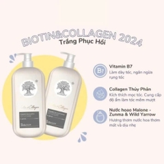 Dầu gội và dầu xả giúp tóc mềm mượt Biotin Collagen Voudioty Pasiori 500ml/1000ml (dẹp)