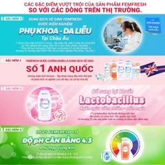 Dung Dịch Vệ Sinh Phụ Nữ Femfresh Daily Wash 250ml - Giúp cân bằng pH cho vùng nhạy cảm - Thương hiệu Femfresh