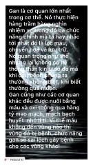 Đá Bazan chườm nóng - lạnh