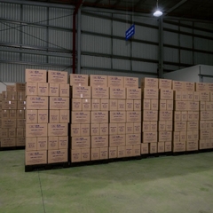 Khẩu Trang 4 Lớp KJ Mask Tiêu Chuẩn TYPE IIR Kháng Khuẩn (Combo 50 cái)