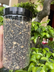 Muối lạc vừng dưỡng sinh VG – rang chậm bếp củi, thơm béo tự nhiên