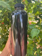 Mật mía Tuyên Quang