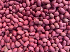 [1kg] Đỗ lạc đỏ Thái Bình (đậu phộng)