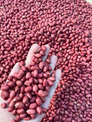 [1kg] Đỗ lạc đỏ Thái Bình (đậu phộng)