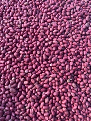 [1kg] Đỗ lạc đỏ Thái Bình (đậu phộng)