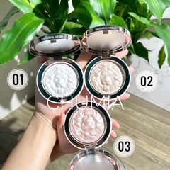 Bắt sáng sư tử LION highlighting - #3 (ánh hồng)