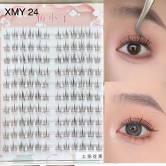 Mi chùm - XMY 24