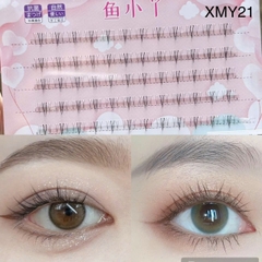Mi chùm dưới - XMY 21