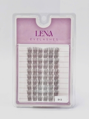 Mi LENA (chùm) - #D13