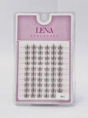 Mi LENA (chùm) - #D02