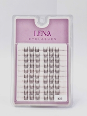 Mi LENA (chùm) - #N28