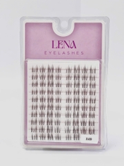 Mi LENA (chùm) - #X49