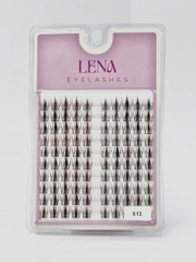 Mi LENA (chùm) - #X13