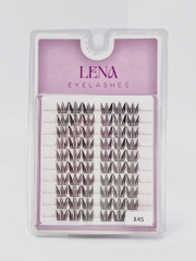 Mi LENA (chùm) - #X45