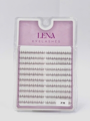 Mi LENA (chùm) - #X16 (mi duới)