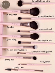 Bộ cọ LAKA 12 cây - #Hồng