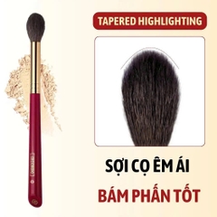 Cọ highlight CHICHODO thân đỏ - No.15