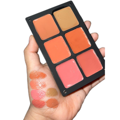 Má hồng DREAMER UMI blusher palette 6ô (kem) - warm (không cọ)