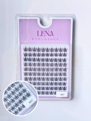 Mi LENA (chùm) - #D07