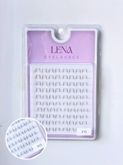 Mi LENA (chùm) - #X15