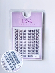 Mi LENA (chùm) - #D01