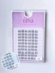Mi LENA (chùm) - #X18
