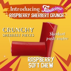 KẸO DẺO TRÁI CÂY RJ’s Fabulicious, Sherbet Fizz & Duos Gummy Rings, KHÔNG DẦU CỌ Palm Oil Free, KHÔNG MÀU – MÙI NHÂN TẠO