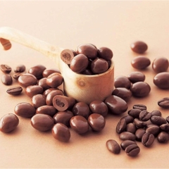 SOCOLA SỮA BỌC HẠT CAFE - GIÀU ĐẠM PROTEIN Vitawerx Milk Chocolate Coated Coffee Beans, Keto, Gluten Free, 60g
