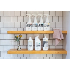 NƯỚC VỆ SINH ĐA DỤNG / CHÙI KÍNH / NHÀ TẮM PHA LOÃNG Ecostore Antibacterial Multi-Purpose / Glass / Bathroom & Shower