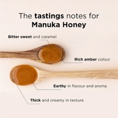HŨ MẬT ONG MGO 40+ MANUKA DOCTOR Multifloral Manuka Honey, 250g - 500g