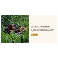 HỘP 10 GÓI CAFE KHÔNG ĐƯỜNG Moccona 99% SUGAR FREE Coffee Sachets (11g / gói) - Cappuccino