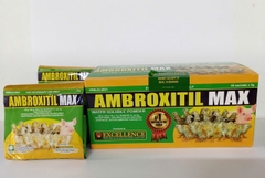 AMBROXITIL - Thuốc úm gà