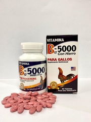 Vitamin B12 - 5000 với sắt