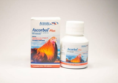 Ascorbol Plus