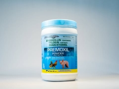 PREMOXIL POWDER 1KG