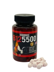 B12 5500 tăng nước máu