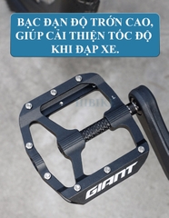 Pedan Xe Đạp GIANT HILL CARBON