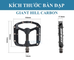 Pedan Xe Đạp GIANT HILL CARBON