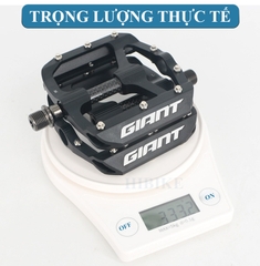 Pedan Xe Đạp GIANT HILL CARBON