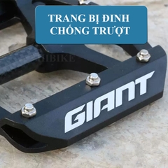 Pedan Xe Đạp GIANT HILL CARBON