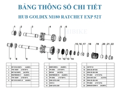 Bộ Hub GOLDIX M180 Ratchet EXP 52T – 28 Lỗ - Phanh Đĩa 6 Ốc