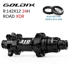 Bộ Hub GOLDIX R310 Ratchet 60t Hình Nón 24H - Phanh Đĩa 6 Ốc