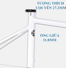 Khung Sườn Nhôm 6061 Xe Đạp Đua KINESIS TR200 - Phanh Đĩa