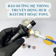 Mỡ Bảo Dưỡng Vòng Bi KLUBER NB52